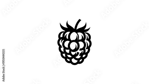 Black silhouette of raspberry with detailed outline on white background