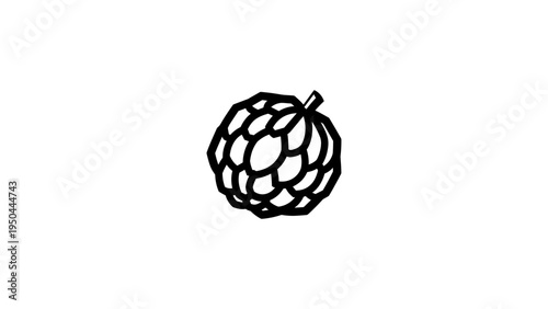 Black and white linear art of sugar apple fruit outline