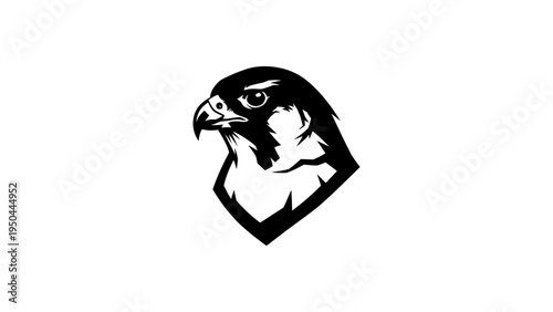 Bold falcon head emblem in black and white silhouette style