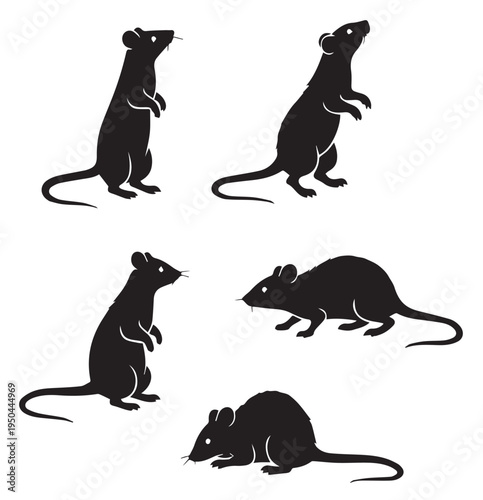 Rat behavior icons showing multiple poses in black silhouette style