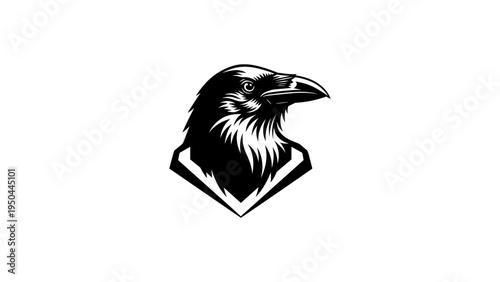 Monochrome raven logo with detailed head design
