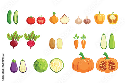 Set of vector images of fresh sliced ​​vegetables. Tomato, cucumber, onion, garlic, potato, carrot, beetroot, zucchini, eggplant, cabbage, and pumpkin, isolated images.