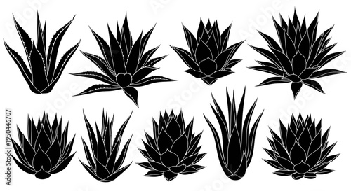 Set of Silhouette Agave Plants Isolated on White Background