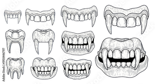 Collection of Detailed Vampire Fangs and Teeth Illustrations - Black and White