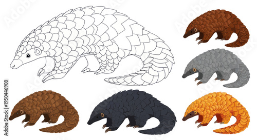 Pangolin Collection: Sketch and Various Colored Scales