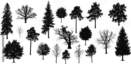 Collection of detailed tree silhouettes isolated on white background, forest trees, oak pine spruce shapes, botanical nature clipart set