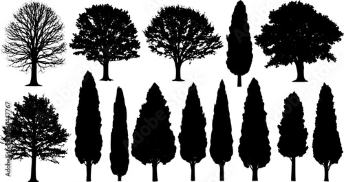 Collection of diverse tree silhouettes including deciduous and cypress varieties on a white background