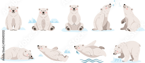 Polar Bear Wildlife Illustration Set Featuring Sitting, Walking, Swimming, and Resting Poses of Arctic Mammal in Snowy Polar Habitat.