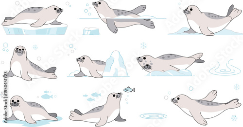 Arctic Seal Wildlife Illustration Set Featuring Swimming, Sliding, Sitting, and Resting Poses with Ice, Water, and Snow in Polar Habitat.