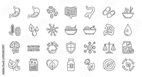  Vector Icons Set of Digestive Health and Nutrition Line Icons Set.