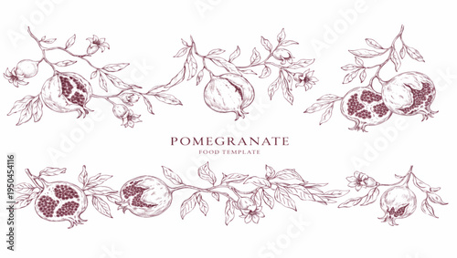 Set of pomegranate brunch and leaves. Detailed hand drawn ink illustration for template layout design, brochure or cover for food card
