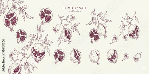 Set of pomegranate brunch and leaves. Detailed hand drawn ink illustration for template layout design, brochure or cover for food card