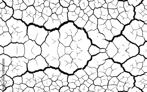 Black and White Cracked Earth Texture Abstract Vector Pattern