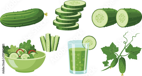 Cucumber Vegetable Vector Collection Featuring Whole Cucumber, Cucumber Slices, Cucumber Sticks, Fresh Cucumber Salad Bowl, Cucumber Juice Glass and Cucumber Plant Branch