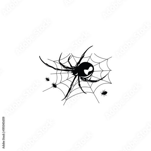 Black spider on web illustration Halloween theme isolated on white background.