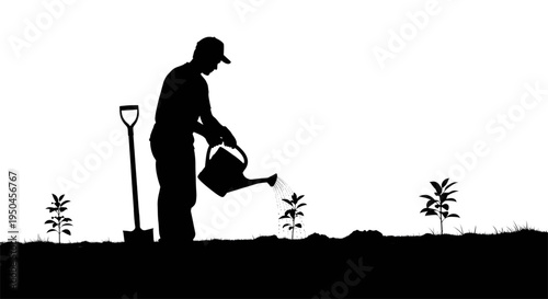 Silhouette of a man watering young plants with a watering can in a garden or farm