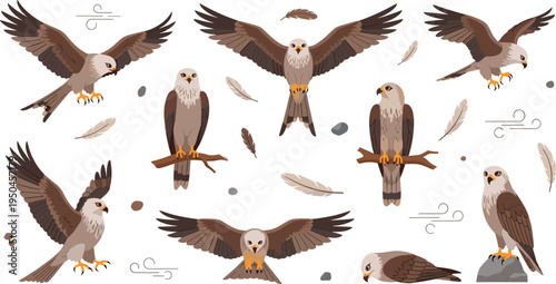 Eagle Bird Wildlife Illustration Set Featuring Flying, Perching, Landing, and Resting Poses of Majestic Bird of Prey in Natural Habitat.