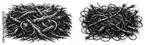 Hand drawn illustration of tangled organic tree roots and messy electrical wires