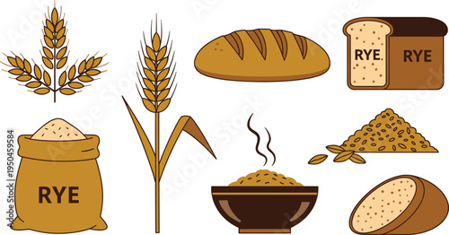 Rye Grain and Bread Collection with Rye Wheat Ears, Rye Flour Sack, Rye Bread Loaf, Sliced Bread and Cooked Rye Bowl Vector Illustration Set
