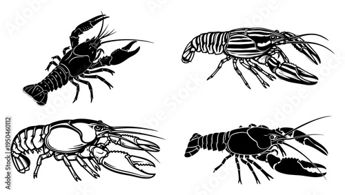 Set of detailed lobster and crayfish illustrations in woodcut engraving style