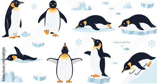 Penguin Wildlife Illustration Set Featuring Standing, Walking, Swimming, and Sliding Poses of Antarctic Seabird in Icy Polar Habitat.