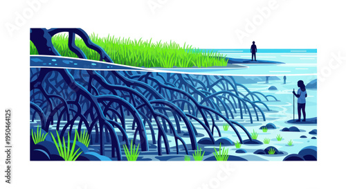 Mangrove Ecosystem Cross-Section: Roots Above and Below Water, Humans Observe Nature