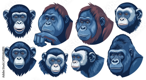 Monkey Faces Collection - Primate Portraits in Blue Tones