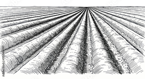 Plowed Agricultural Field with Furrows, Rural Landscape Drawing