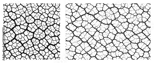 Two patterns of cracked dry earth and mud texture in woodcut style