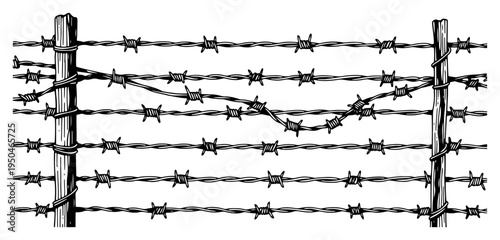 Barbed wire fence with wooden posts in vintage engraving style