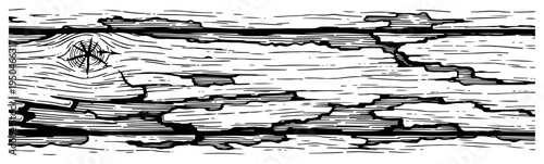 Horizontal weathered wood plank texture with spider web in vintage woodcut style