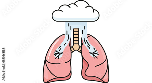 Illustration of lungs with a cloud-like shape and downward precipitation, symbolizing respiratory health and air quality