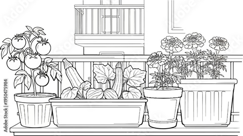 A black and white drawing of vegetables and flowers growing on a balcony