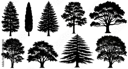 Diverse Tree Silhouettes Collection