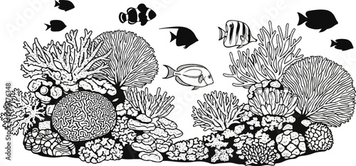 Black and white illustration of a vibrant coral reef with diverse fish