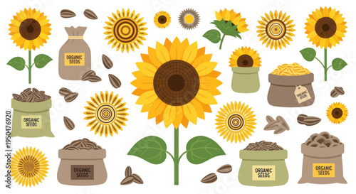 Sunflower Seeds Harvest: Organic Bags & Blooming Flowers Collection