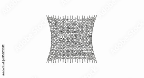 Intricate wireframe structure with geometric patterns and central text detail