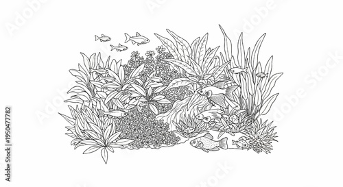 Black and white illustration of an aquarium teeming with diverse fish and lush aquatic plants