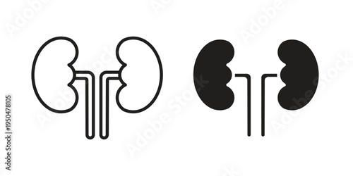 Kidney icon. Simple linear element illustration. Thin stroke sign can be used for web, mobile and UI.
