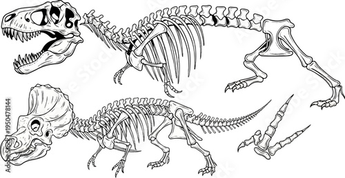 Two dinosaur skeletons, a Tyrannosaurus Rex and a Triceratops, plus isolated feet