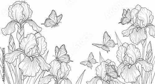 Delicate iris flowers with butterflies in a decorative, sketched line art composition