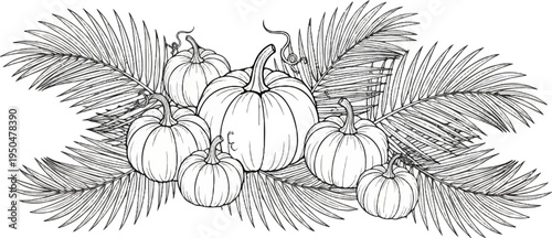 Delicate line drawing of pumpkins and palm fronds, celebrating harvest