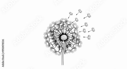 Delicate dandelion seeds floating away on a gentle breeze