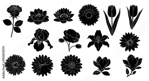 Collection of Floral Silhouettes and Decorative Garden Flowers