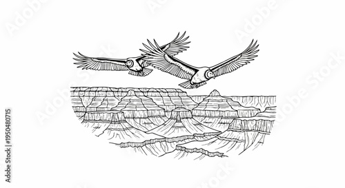 Two large birds with outstretched wings fly over a vast, layered canyon