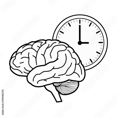 Vector of a human brain with a clock indicating time management