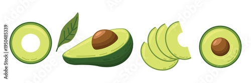 Avocado fruit vector collection with half avocado seed sliced pieces and green leaf isolated healthy food illustration