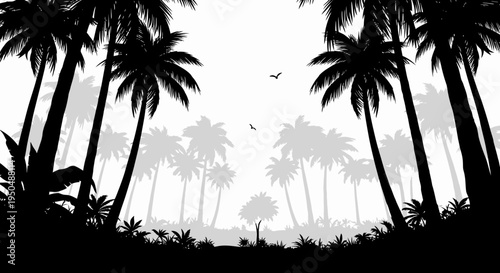 Silhouette of palm trees against a white sky tropical nature vector