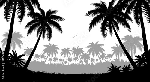 Silhouette of palm trees in tropical landscape against white sky