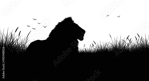 Silhouette of a majestic lion in tall grass with birds flying overhead
